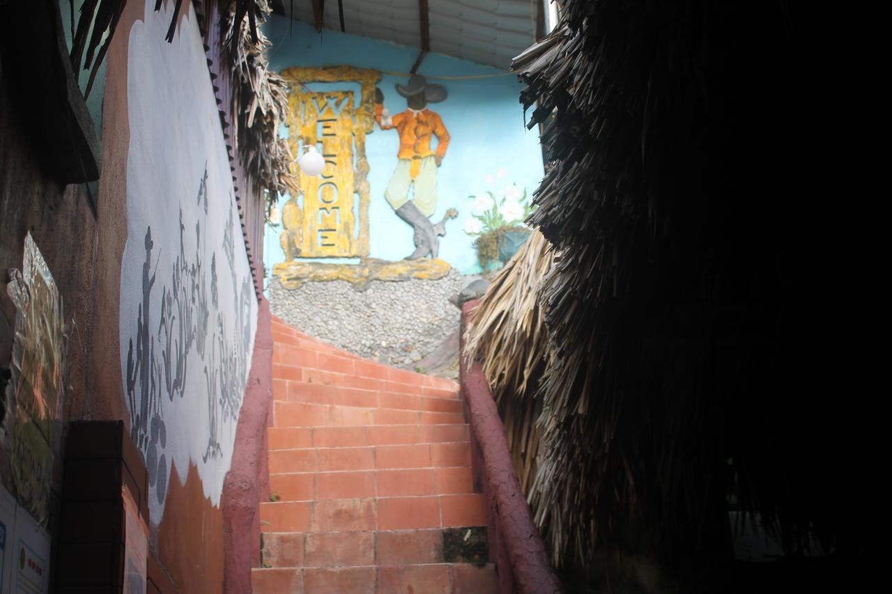 Bed & Breakfast Cat Ba Mountain View 2*